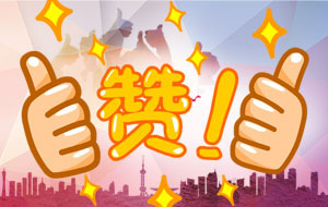 客戶盛贊：“你們的服務(wù)態(tài)度真是行業(yè)******！”